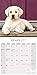 Yellow Lab Calendar 2017 - Yellow Labrador - Dog Breed Calendars - 2016 - 2017 wall calendars - 16 Month by Avonside