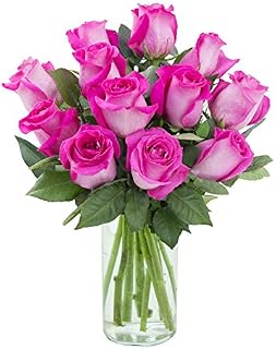 Arabella Farm Direct Bouquet of 12 Stems of Fresh Cut Hot Pink Roses