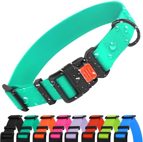CollarDirect Wasserdichtes Hundehalsband Verstellbar – Silikon & Kunststoff, Geruchsresistent, Leicht zu Reinigen, Sicherheitsverschluss – für kleine, mittlere & große Hunde (Minzg