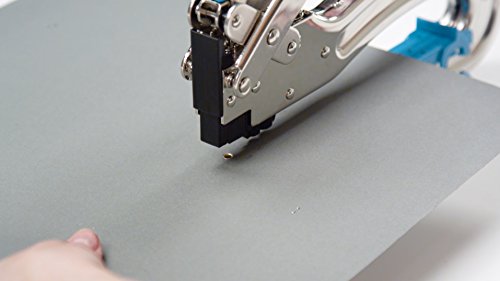 Wr Cadii Big Bite Blue #TOP4