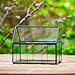 NCYP Mini Glass Terrarium with Lid - 6.1