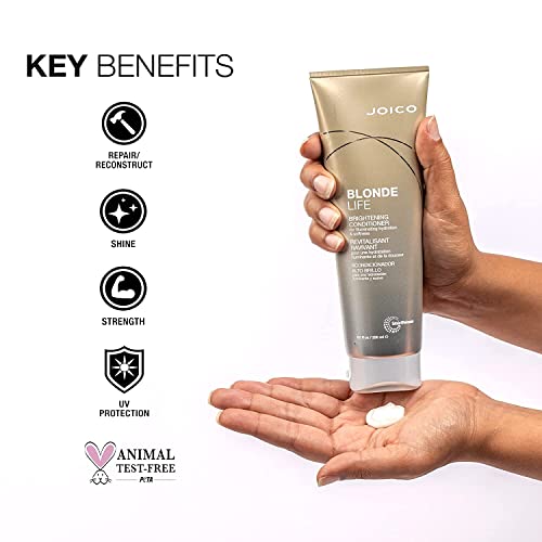 Joico Blonde Life Brightening Shampoo And Conditioner Set #TOP5