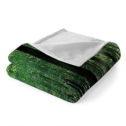 Couverture douce et confortable KnSam plaid polaire flannel imprimé vert - 6
