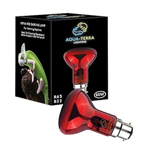 Aqua-Terra Lighting 60w Infrared Basking Heat Lamp for Reptiles, Amphibians and Invertebrates– R63 Spotlight Bulb with…