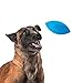 Nerf Dog Tire Squeak Football Outdoor Dog Toy, 6 Inch Dog Football Squeaking Toy for Medium and Large Breeds, Blue