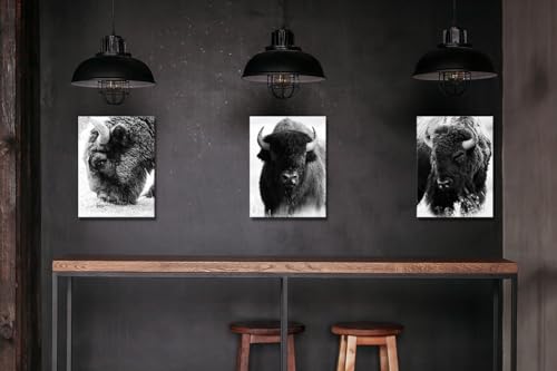 Derkymo Black And White Bison Animals Wildlife Photography Modern Art Rustic Scenic Nature Canvas Wall Art  thumb #3