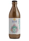 Scoo Kombucha Grapefruit & Hopfen - 12 Flaschen 330 ml Bio Kombucha Tee