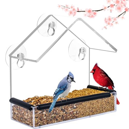 10 Best Window Bird Feeders for Cats to Keep Your Feline Entertained