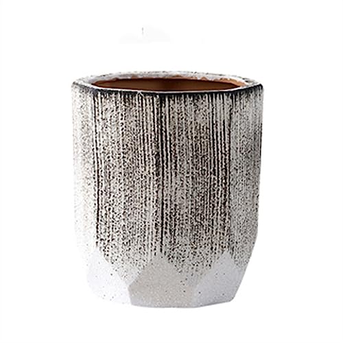 Grands pots de fleurs salon pour sublimer vos plantes vertes