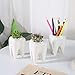 T4U Small Cute Tooth Planter Succulent Pots Teeth Pencil Holder Office Organizer Plant Gift for Dentist Mini White Ceramic Planter Pots for Succulents Herbs Cactus Pack of 3