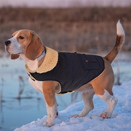 Queenmore Warm Dog Coat, Cold Weather Puffer Dog Coat, Quilting Winter Dog Jacket Ultra Thick Plush Lining With Storage Pockets (Dark Navy, X-Large) #TOP1