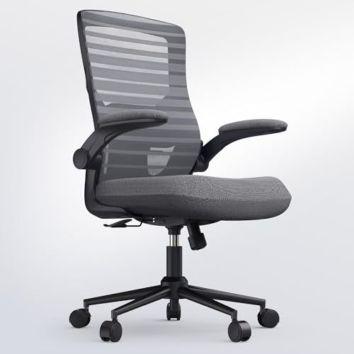 QLTPLUS Office Desk Chair for Long Hours & Lower Back