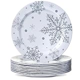 Ziliny 10 Pcs Christmas Snowflake Plates Silver White Snowflake Winter Dinner Salad Plates for Adult Christmas Birthday Winter Party Supplies(8 Inch)