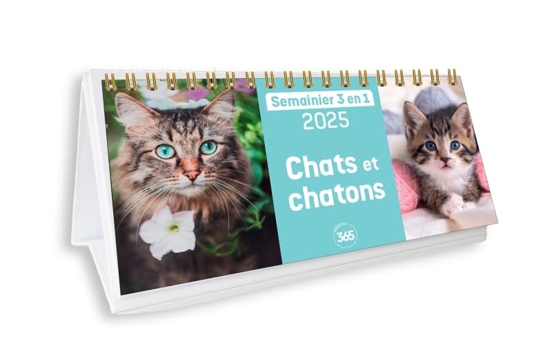 Calendrier semainier 2025 Chats et chatons Calendar – October 25, 2024