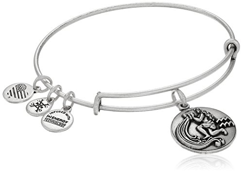 Alex and Ani Aquarius Rafaelian Silver Bangle Bracelet