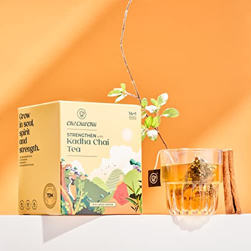 Chit Chat Chai Kadha Chai Herbal Tea 15 Pyramid Tea Bags Ayurvedic