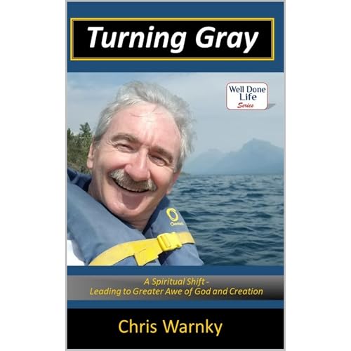 Turning Gray Audiolibro Por Chris Warnky arte de portada