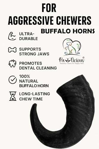 Pawlicious (1 x XL 300g - 400g) Buffalo Horns for Dogs, 100% Natural Grain Free Dog Chew Treat for Adult Dogs, High Protein Long Lasting Horn Chewing Pet Treats - Image 6