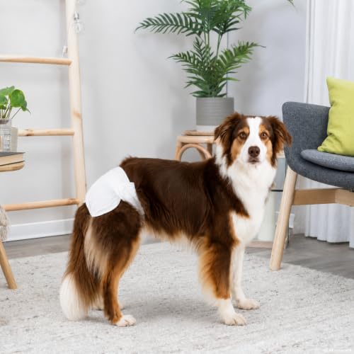 TRIXIE Hundewindeln für Hündinnen Gr. M–L, 12 St., 36–52 cm Taillenumfang