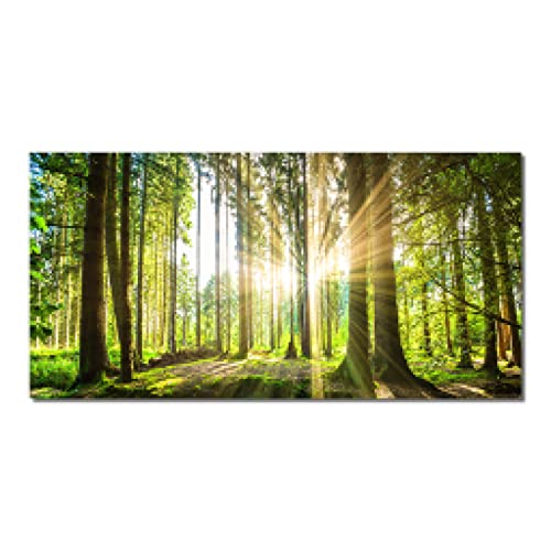 Affiche Forêt Naturel Vert Arbre créant une ambiance relaxante au cœur du salon familial