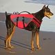CITÉTOILE Hunde Schwimmweste mit Griff und Reflektierend, Einstellbare Rettungsweste für Kleine Mittel Große Hunde, Langlebigem für Wassersport Schwimmen und Bootfahren, Rot, M