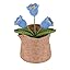 Blue Lily of the Valley