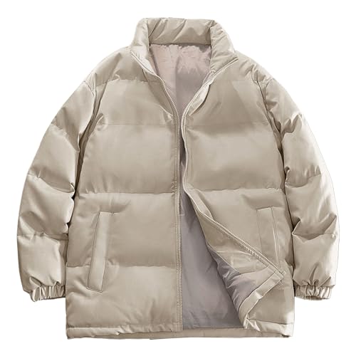 Veste en duvet hommes contre le froid col montant zippé style décontracté