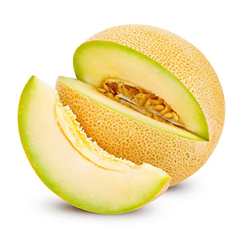 Sweet Melon Oman 1.5 kg Approx.