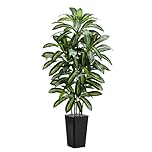 TNGGNT Artificial Plants Dracaena Tree 6FT, Large Artificial Plants Indoor with Black Tall Planter, Tall Fake Floor Plant in Pot Indoor Decor, Fake Dracaena Tree for Home Living Room Office Decor