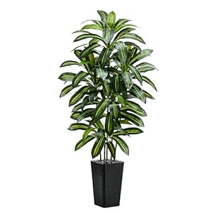 Artificial Plants Dracaena Tree 6FT, Large Artificial Plants Indoor with Black Tall Planter, Tall Fake Floor Plant in Pot Indoor Decor, Fake Dracaena Tree for Home Living Room Office Decor