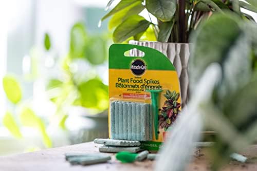 Miracle-Gro Indoor Plant Food Spikes, 24-Pack | Slow Release Fertilizer for Houseplants | Pre-Measured, Feeds Up to 2 Months - 1