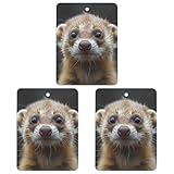 3 Pcs Car Air Fresheners Hanging Fragrance Scented Cards Auto Aromatherapy Tablets Rearview Mirror Pendant Ferret Car Fresheners for Auto Interior Bedroom Wardrobe Shoe Cabinet