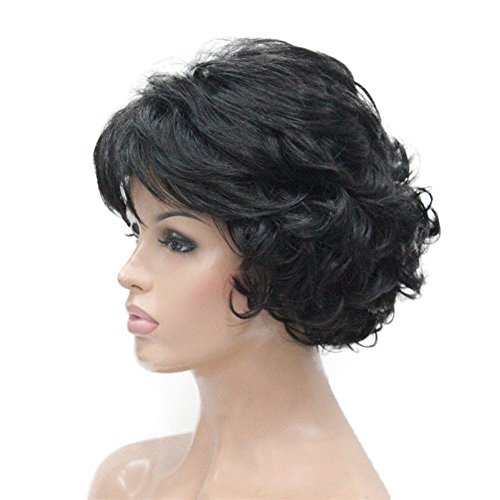 Aimole Black Short Curly Synthetic Wig Full Capless Hair Daily Wigs (2-Natural Black)