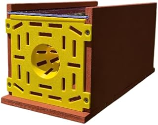 Piège sélectif à frelons asiatiques en Bois – Fabrication Artisanale