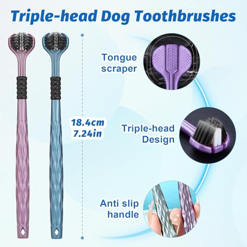 Soodyoow Hundezahnbürste, 10 Stück Zahnbürste für Hunde, 2 Stück Dreifach Köpfe Hundezahnbürsten, 4 Fingerzahnbürste, 4 Doppelköpfige Dog Toothbrush, 360º Pets Zähne Reinigung Zahnbürste