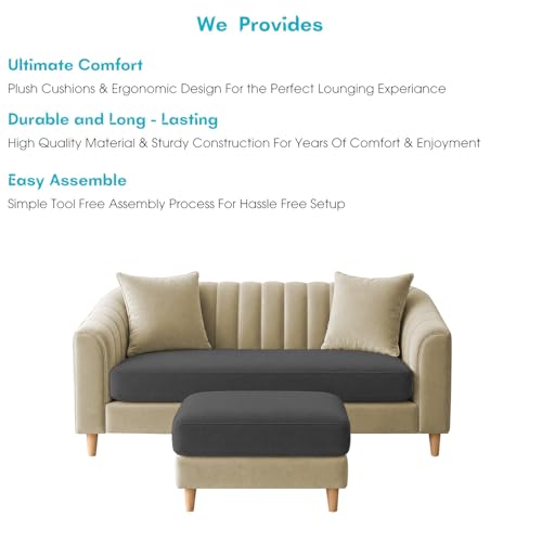 Image of Doraldo 2 Seater Sofa Set with Ottoman for Living Room (Cream Black) Premium Fabric Sofa