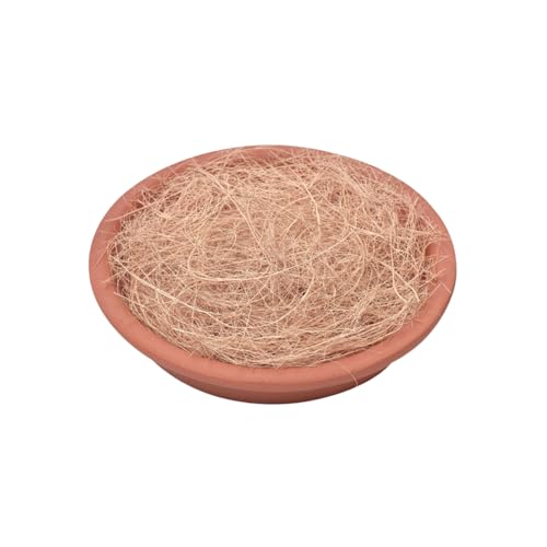 RAyǍ??RRVt@Co[AK[fAAAAAAϗtAȂAQABƂɍœKȑfށBłŊɗD+ (1000g)