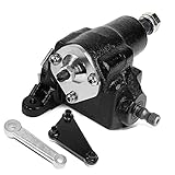 DNA Motoring LEPOW-105 Painted Black Steel Power Steering Gearbox Compatible with Ford Cross Street Hot Rat Rod 1923-1948,20:1 Standard Ratio