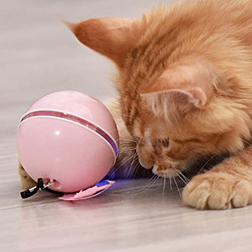 mewmewcat Bola de gato multicolorida para animais de estimação Brinquedo de carga USB Bola para anim