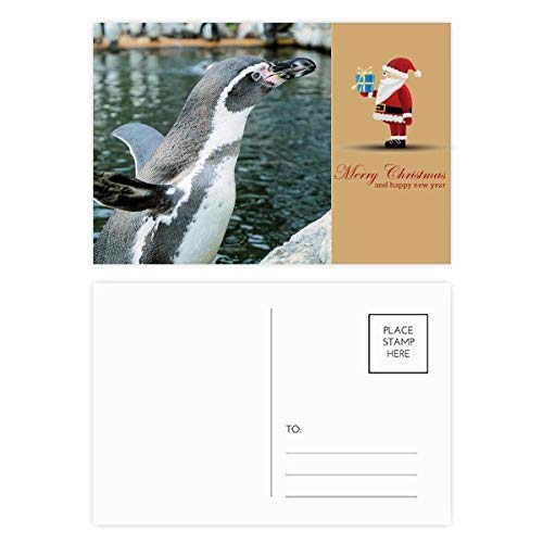 Cartes postales pingouin antarctique avec remerciements x20