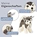 Steiff Kuscheltier Bernie Husky, Süßes Stofftier mit Kunststoffaugen, Kinder, Jungen & Mädchen, Plüschtier 17 cm, Weiß, 104985