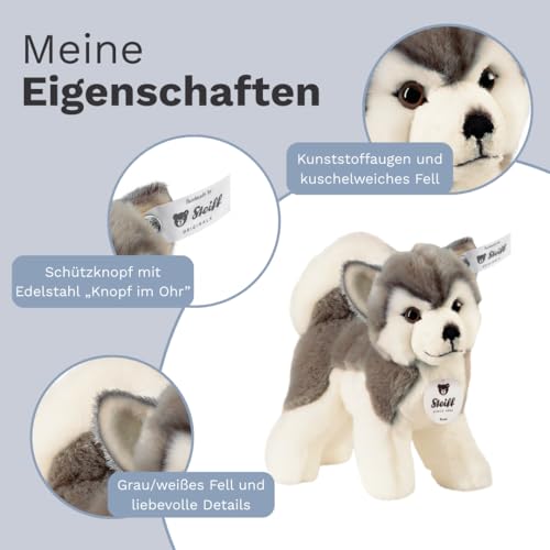 Steiff Kuscheltier Bernie Husky, Süßes Stofftier mit Kunststoffaugen, Kinder, Jungen & Mädchen, Plüschtier 17 cm, Weiß, 104985