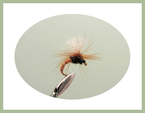 6 Pack of Beige/Tan Klinkhammer Trout Flies Choice (12/14)