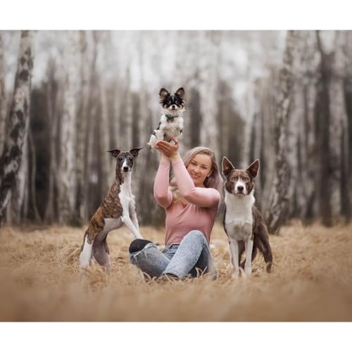 Viki Obetkov&aacute;