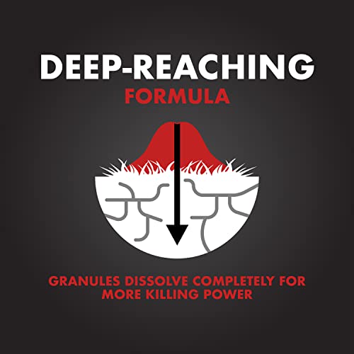 Spectracide Ant Shield Insect Killer Granules 3 Pounds, Convenient Shaker Bag, 4 Pack