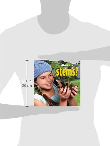What Are Stems? (Plants Close-Up)