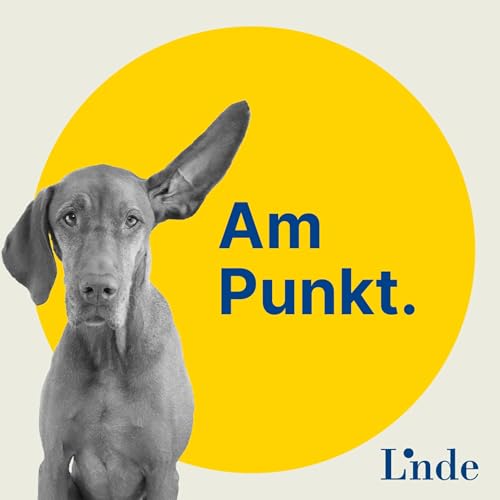 Couverture de Am Punkt - Steuern. Wirtschaft. Recht. Zum H&ouml;ren.