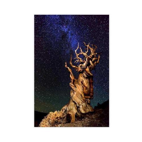 Weltraumfotos Bristlecone Pine Leinwandposter, Wandkunst, Dekordruck, Bild Gemälde für Wohnzimmer, Schlafzimmer, Dekoration, ungerahmt: 30 x 45 cm
