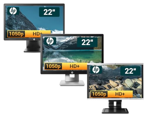 HP 22 Zoll Business Computer Monitor, Desktop Gaming Monitor, HD+ (VGA - DVI - VESA), PC Bildschirm, schwarz/Silber (Generalüberholt)