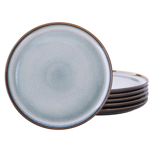 LERATIO Ceramic Plates Set of 6, 8.5 Inch Reactive Glaze Light Weight Porcelain Salad Plates,Modern...